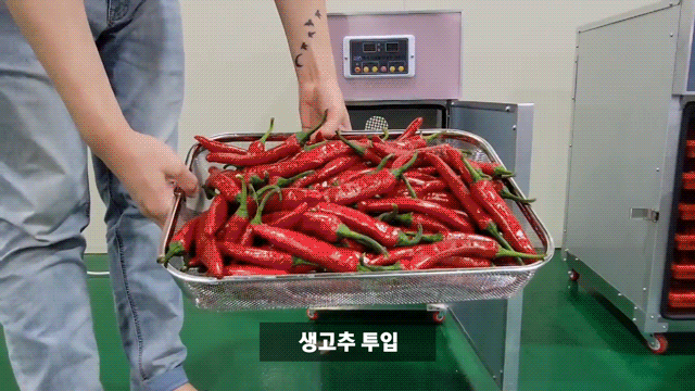 DYS-05_동서건조기 다목적 가정용 식품건조기 고추건조기_0번째 상세정보 동양렌탈 DYS-05 동서건조기 다목적 가정용 식품건조기 고추건조기 상세이미지 1