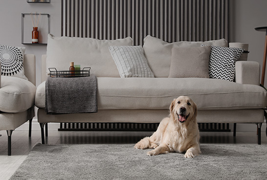 코웨이 AP-1526A 스퀘어핏 공기청정기 상세이미지 17